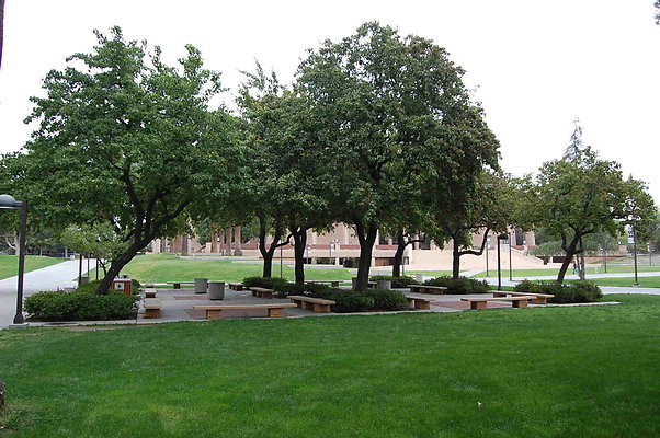 Oviatt.CSUN.Library.1.11