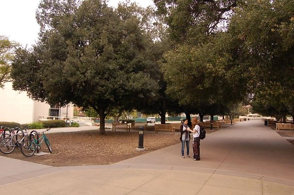 OXY.Uni..Library.08
