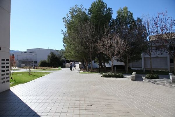 CoC.Library.1.05