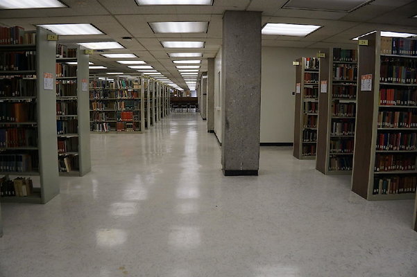 Library 31