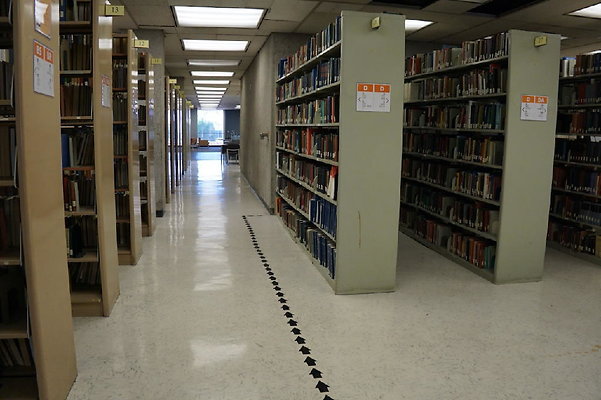 Library 29