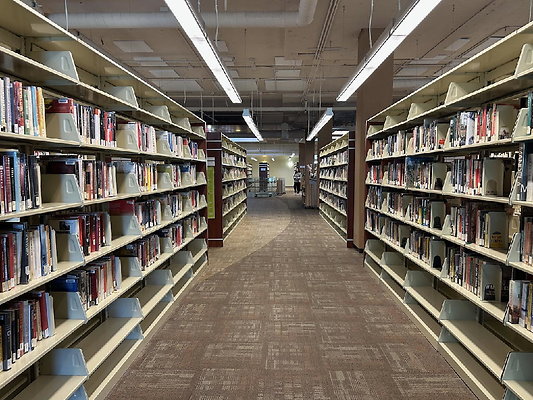 ELAC-Library 85