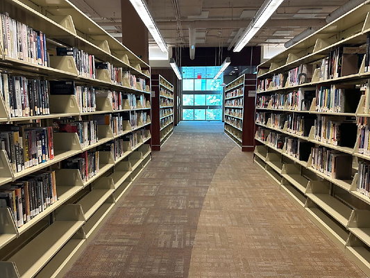 ELAC-Library 80