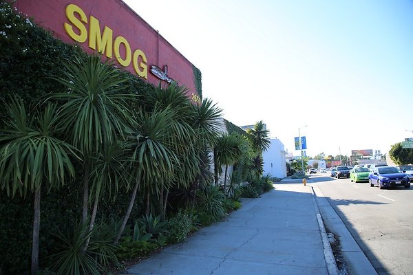 SmogShoppe.42