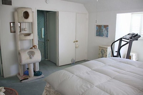 UNIVERSAL-8841-CW-35 UNIVERSAL-8841-CW-35