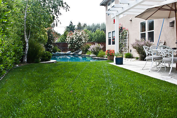 21-cerezohouse 20 jpg 21-cerezohouse 20 jpg