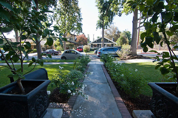 8-cynthiahouse 6 jpg 8-cynthiahouse 6 jpg