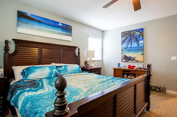 UNIVERSAL-D297-LB-38 UNIVERSAL-D297-LB-38