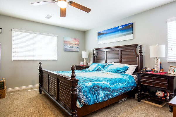 UNIVERSAL-D297-LB-49 UNIVERSAL-D297-LB-49