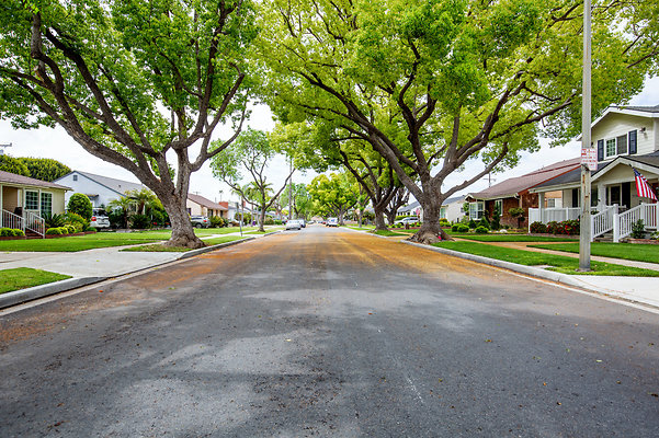 UNIVERSAL-D297-LB-19 UNIVERSAL-D297-LB-19