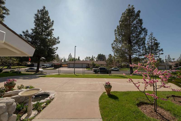 11957 reverse 1 11957 reverse 1