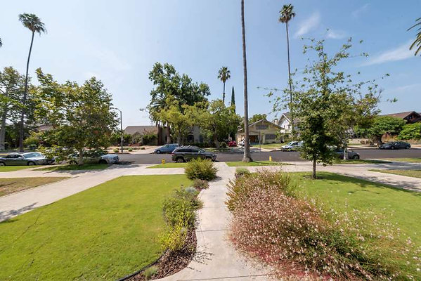 12443 reverse 1 12443 reverse 1