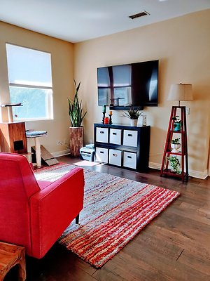 UNIVERSAL-B593-SCV-80