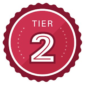 TIER 2