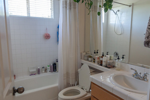 35-vogelhouse 34 jpg 35-vogelhouse 34 jpg