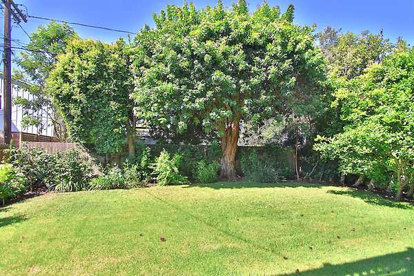 UNIVERSAL-CW084-MRV-32