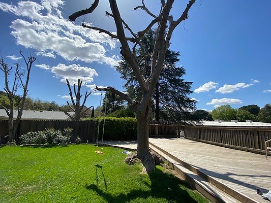 UNIVERSAL-B599-SCV-21