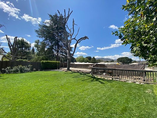 UNIVERSAL-B599-SCV-24