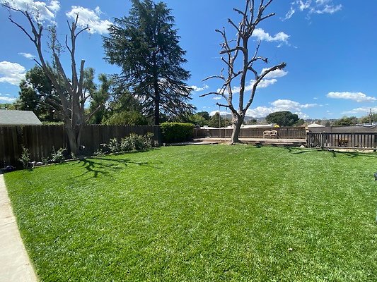 UNIVERSAL-B599-SCV-25